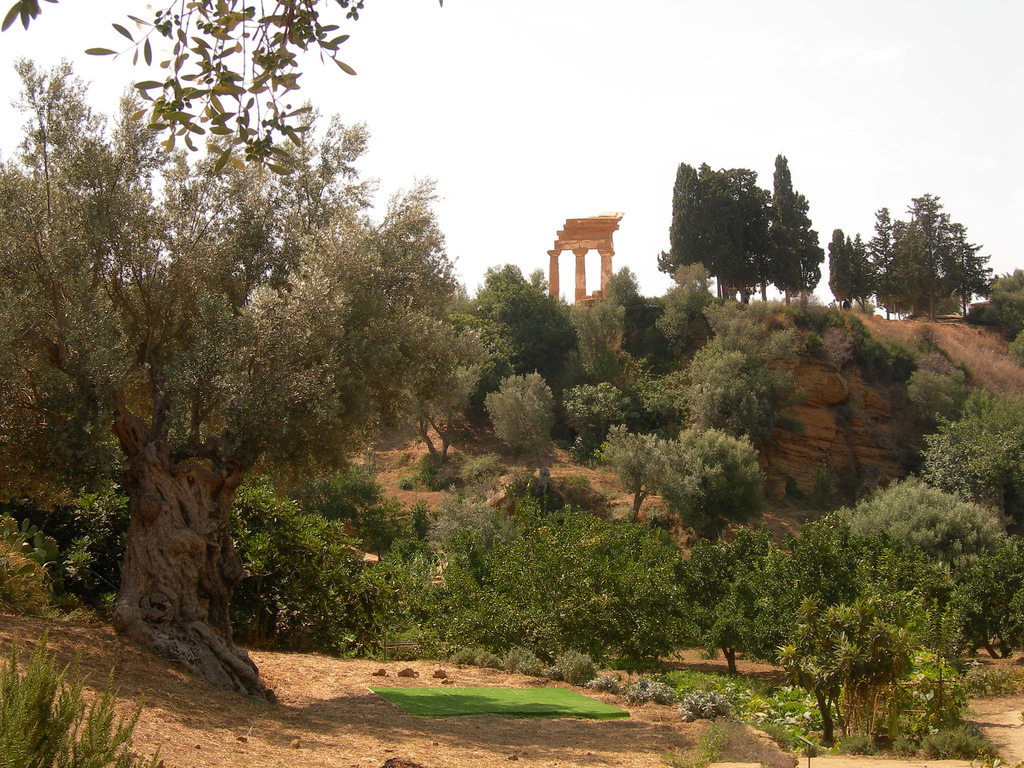 tempio della concordia, valle dei templi agrigento, capitale della cultura 2025, mandorlo in fiore 2025, agrigento 2025, sagra del mandorlo in fiore, agrigento 2025